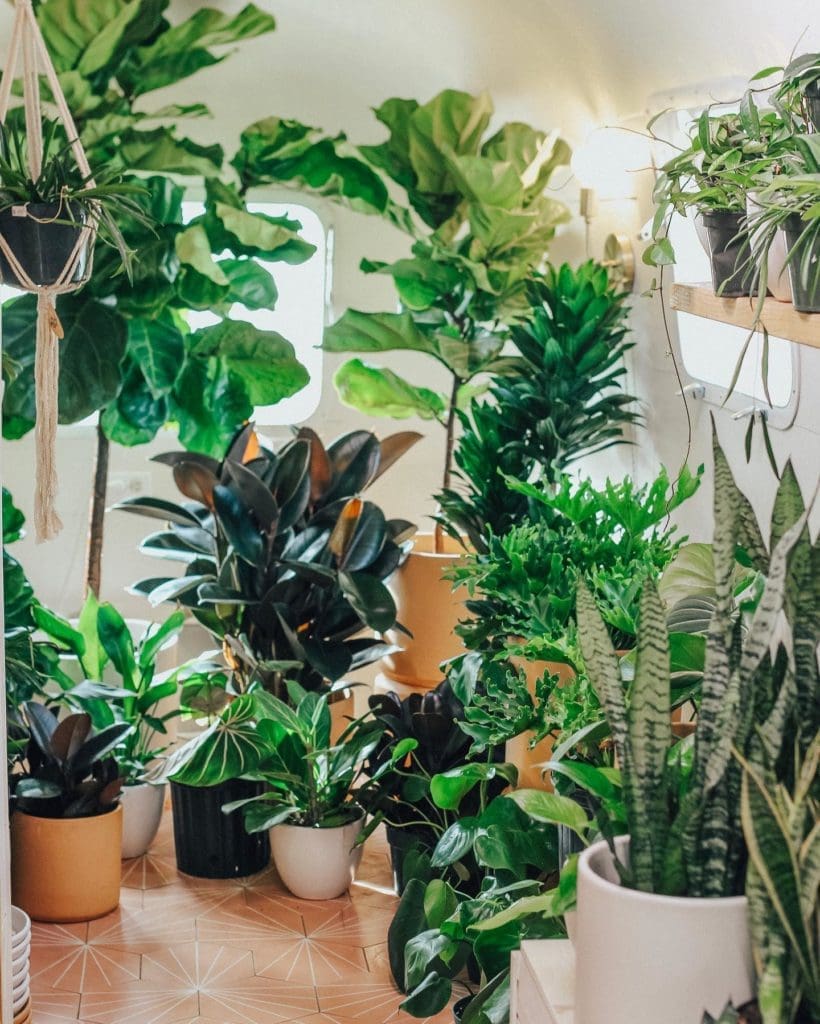 The Airstream filled to the gills with greenery.
