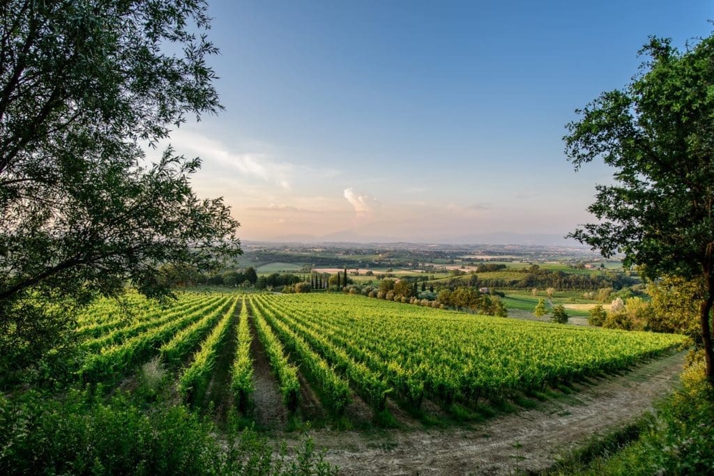 Tasting Your Way Through Tuscany — Four Wines That Will Almost Make You Feel Like You’re There