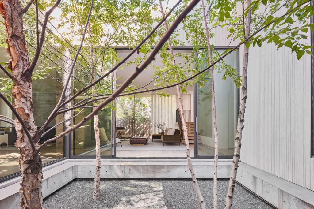 Mesa Design Group’s landscaping includes river birches and gravel in the courtyard. Sliding doors lead to the TV room. (Photo by Stephen Karlisch)