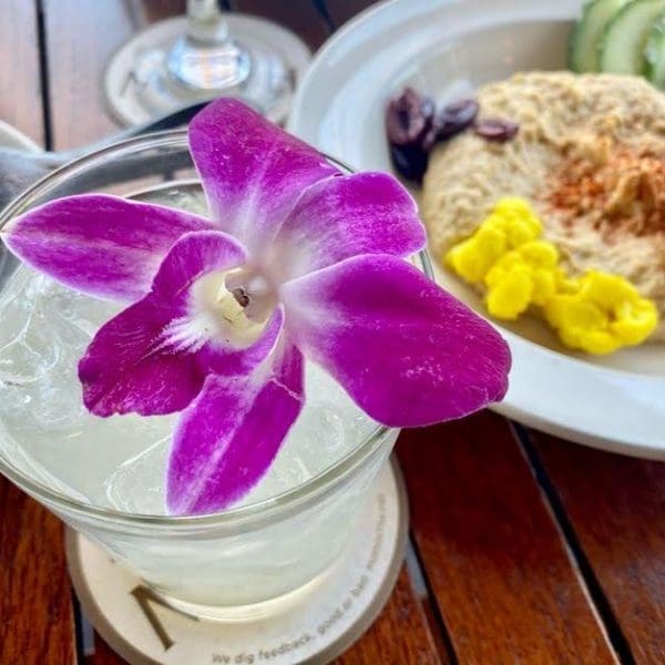 Meddlesome Moth: Flew the Coop Cocktail