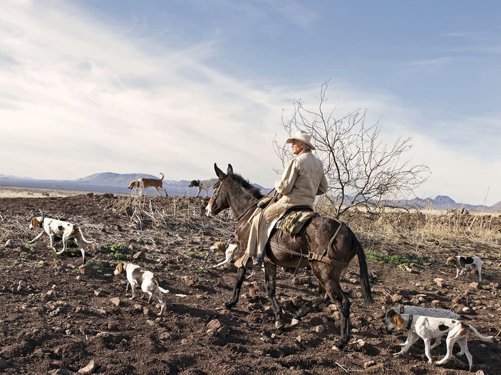 Laura Wilson's "Nikki Cammaert, Trick Rider, Weatherford, Texas (Balancing on horse)," 2001, at Red & White Gallery.
