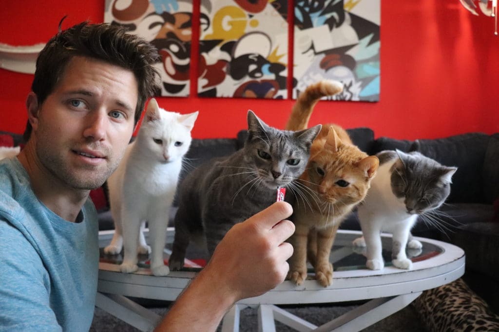 Nathan Kehn (@nathanthecatlady) is a part of the Tabby team.