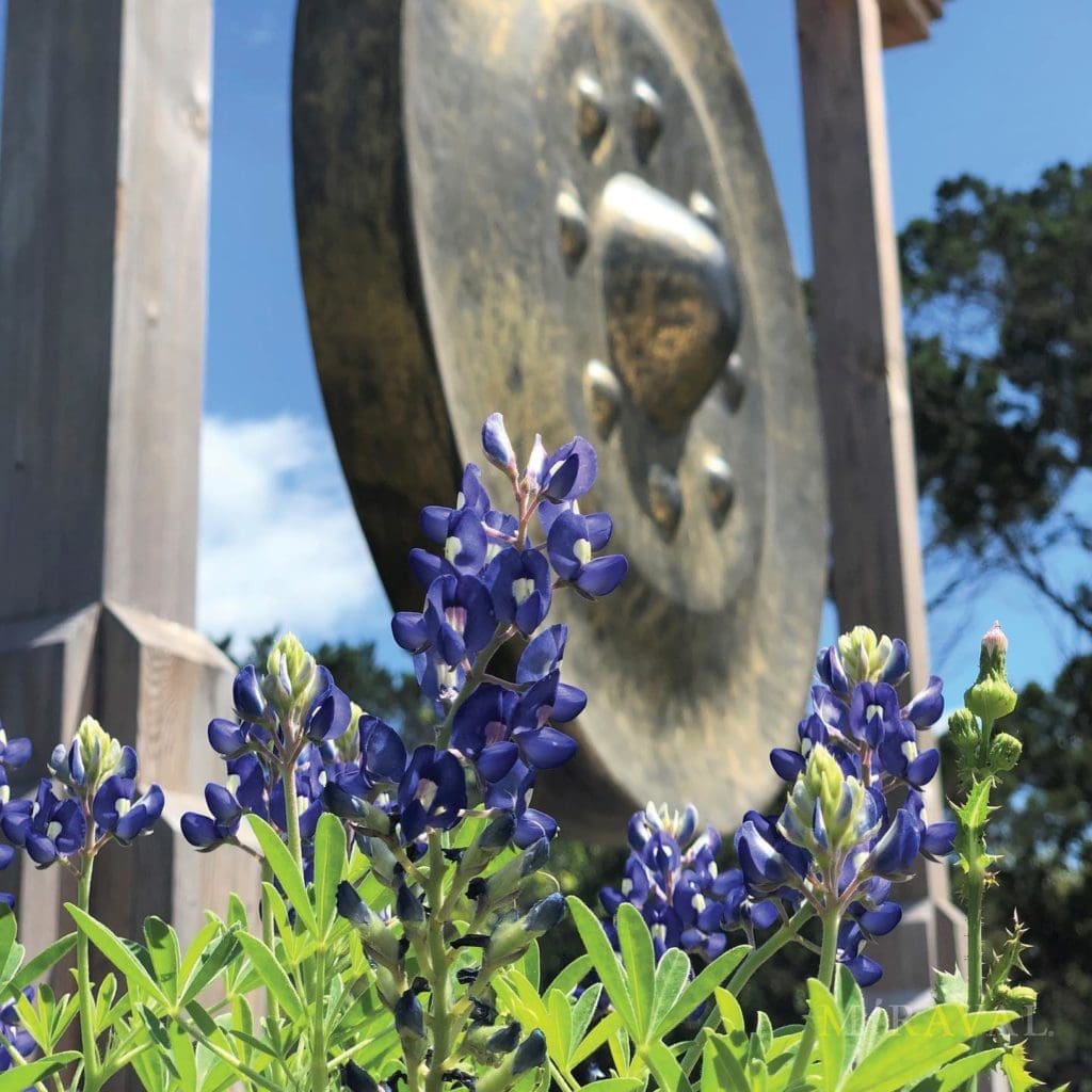 One of Texas’ Top Wellness Retreats Hosts Its First-Ever Bluebonnet Festival