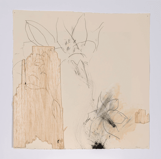 Joseph Havel lives and works in Houston and currently serves as director of the Glassell School of Art at the Museum of Fine Arts, Houston. Havel's "First Flower San Francisco with Parrot Wood," 2019. Courtesy Lawndale Art Center. 
