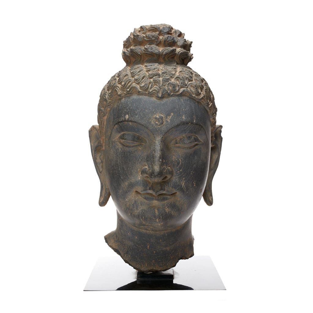 3 Dallas-Fort Worth Museum Exhibits to Mark Your Summer Calendar For