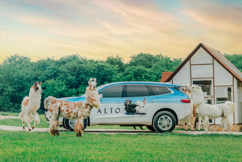 For Gray Malin's Dallas Alto Art Car, he featured the llamas with balloons that are on the cover of his new coffee table book.