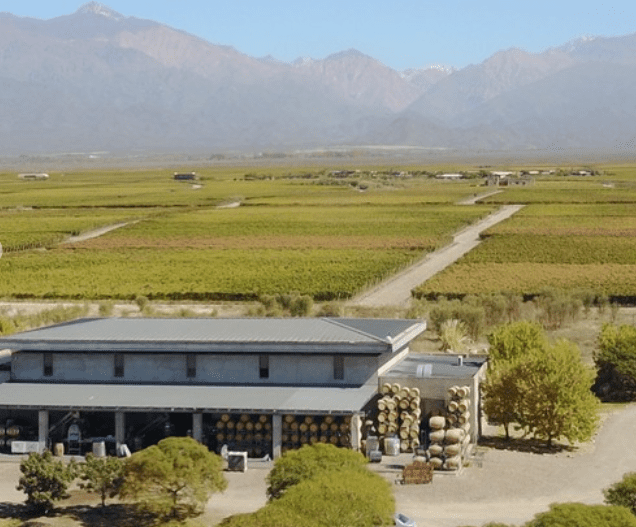 The Serca Wines vineyards occupy six acres in Argentina's Mendoza region. 
