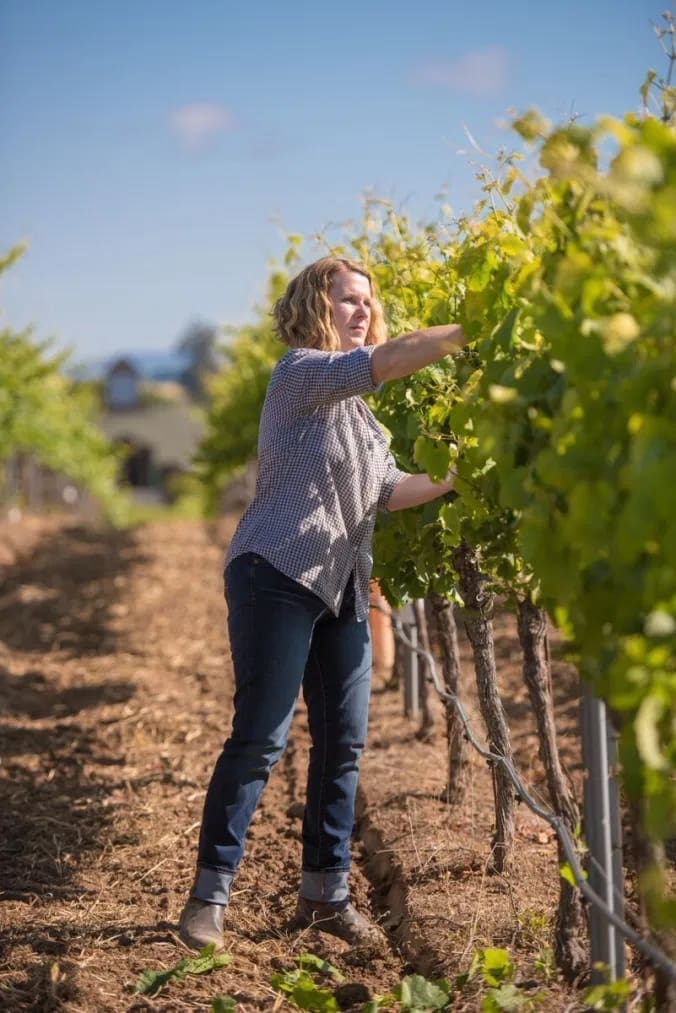 Wine, Falcons and Ted Lasso — How a Napa Winery Adapted With Real Zeal and Made It All Come Together