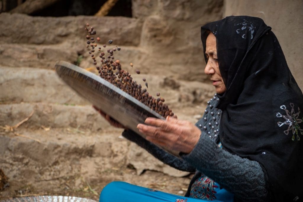 A Dallas-Based Coffee Roaster Acquires Rare Yemeni Beans