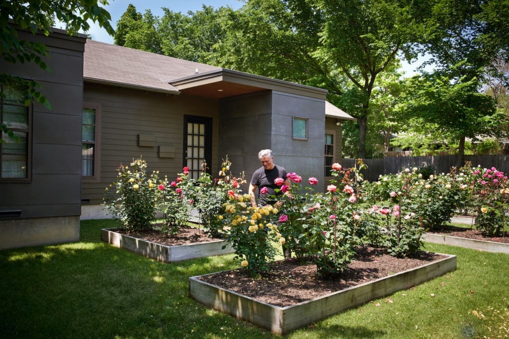 Bentley Tibbs tending his rose garden. (Photo by Pär Bengtsson)