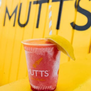 MUTTS Canine Cantina