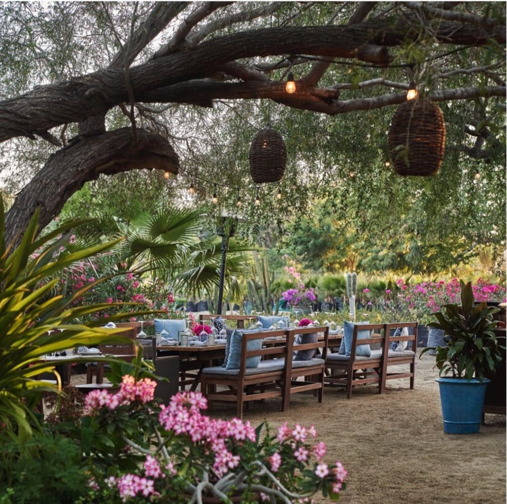Costa Palmas Nursery Dinner