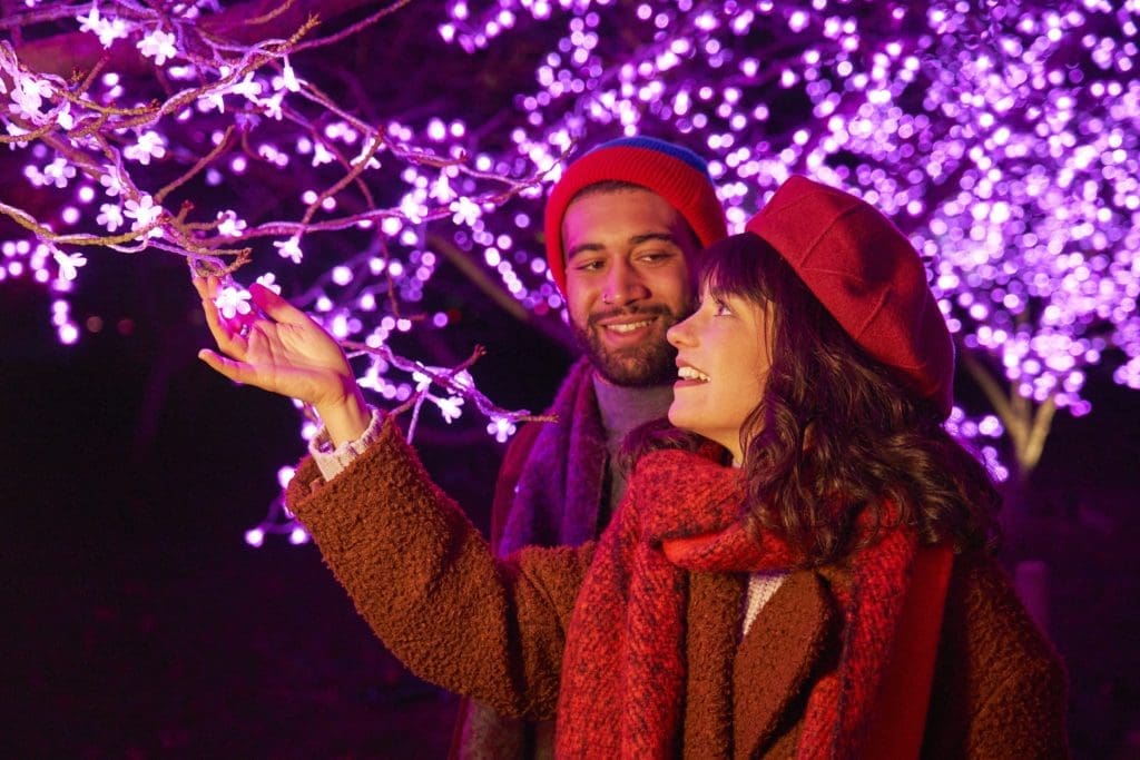 Advance tickets are on sale now for the holiday Lightscape installation at Houston Botanic Garden.
