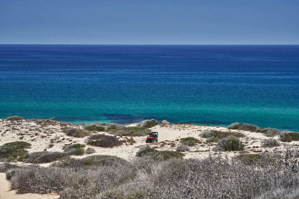 Nestled on the East Cape, Costa Palmas boasts two miles of swimmable white sand beach.