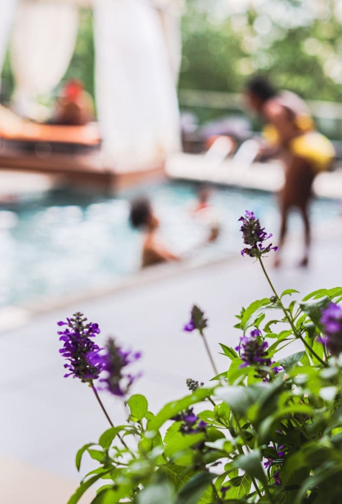 The Moran pool is perched above CityCentre, offering great views of the area.