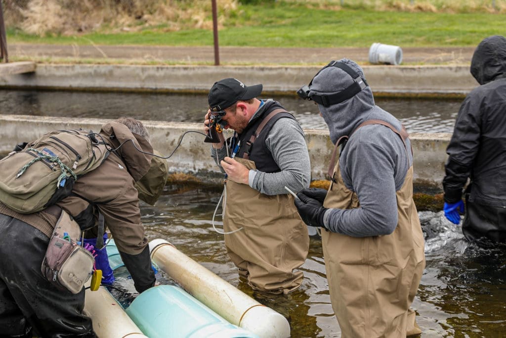 Berg Hospitality Group's Benjamin Berg and Sean Mohammed outfitted for catching white sturgeon at the California Caviar Company. (Photo by Carly Shuttlesworth)
