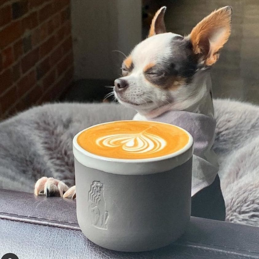 Fort Worth Coffee Favorite Innovates Again, Adds Another Dimension to its Offerings