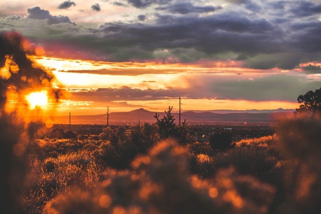 After spending a week road-tripping from Albuquerque to Santa Fe to Taos, we've rounded up the best of New Mexico.