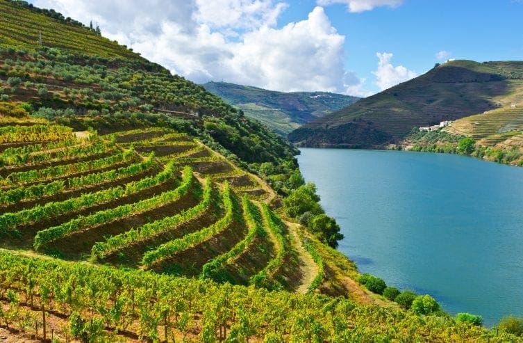 Drinking Vinho Verde for the first time was an epiphany for Nick Goldschmidt.
