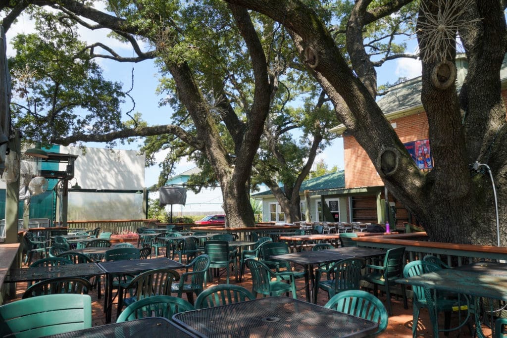 Within the Land of Trees — Neighborhood Bar Finds New Life With Majestic 130-Year-Old Oaks Setting the Tone