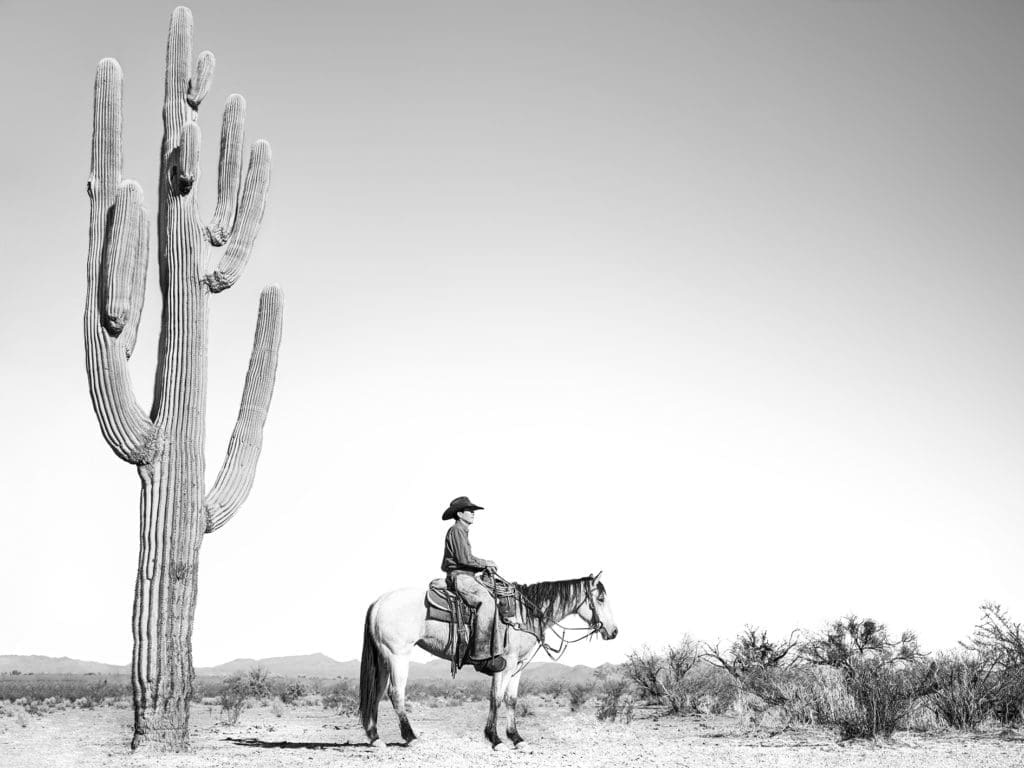 "Saguaro" by Anouk Krantz  (Photo by Thomas Garza Photography)