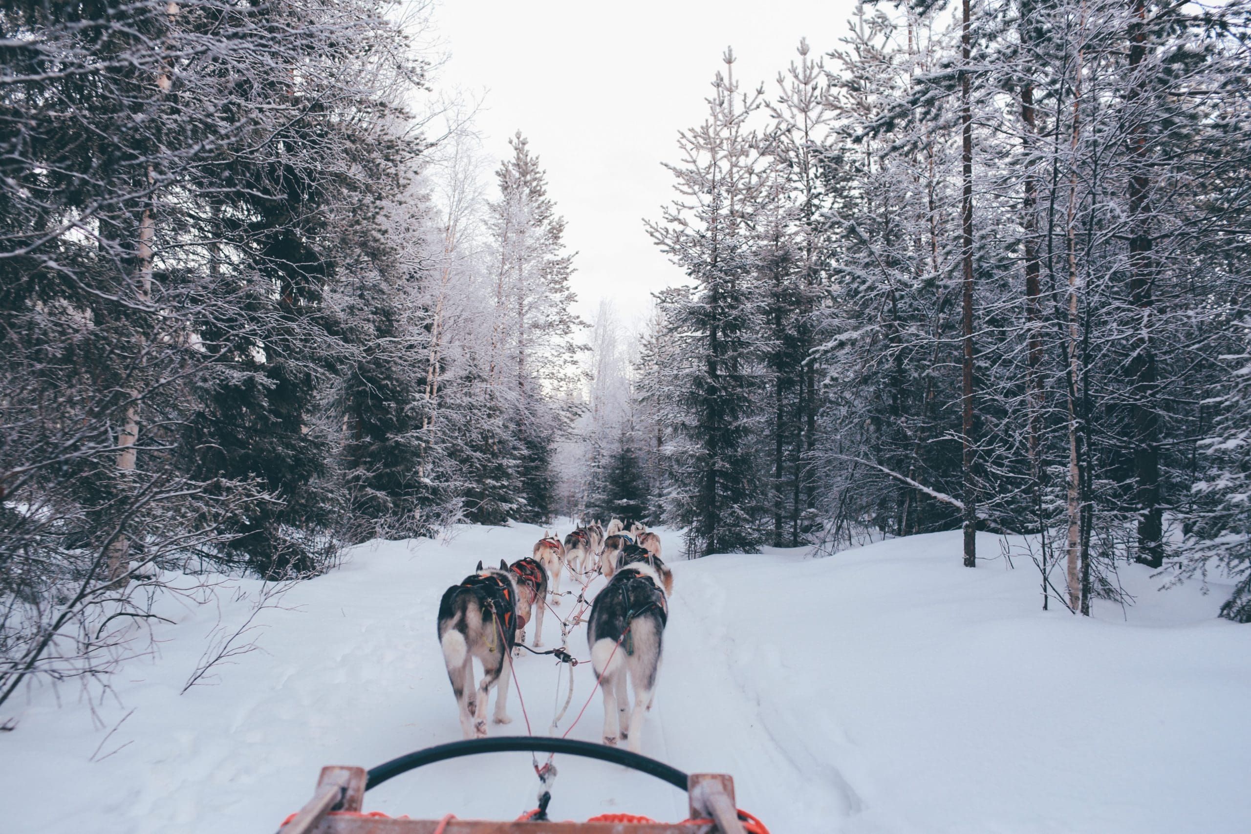 Dog Sledding_WBI Auberge Resorts Collection