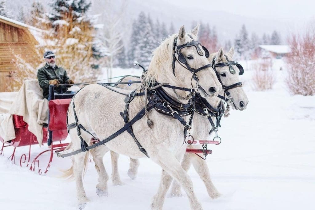 Dashing Destinations to Experience a Horse-Drawn Sleigh Ride This Holiday Season