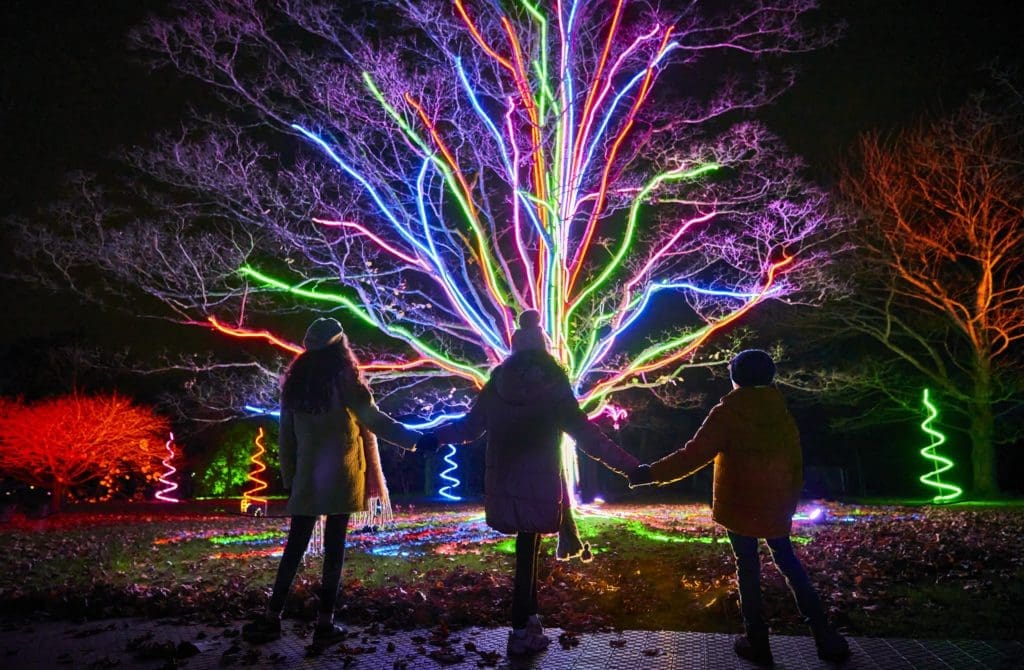 No Ordinary Holiday Show — Lightscape Transforms Houston Botanic Garden Into a Truly Magical Realm