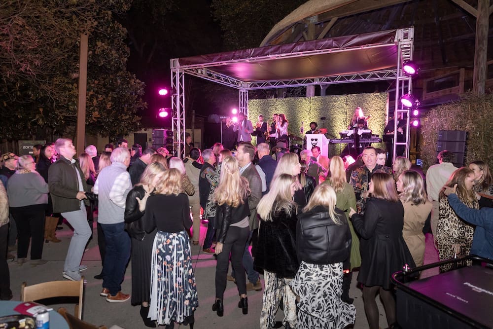 Attendees dance to live music at the 30th anniversary of Zoo to Do in Dallas. (Photo by Thomas Garza Photography)