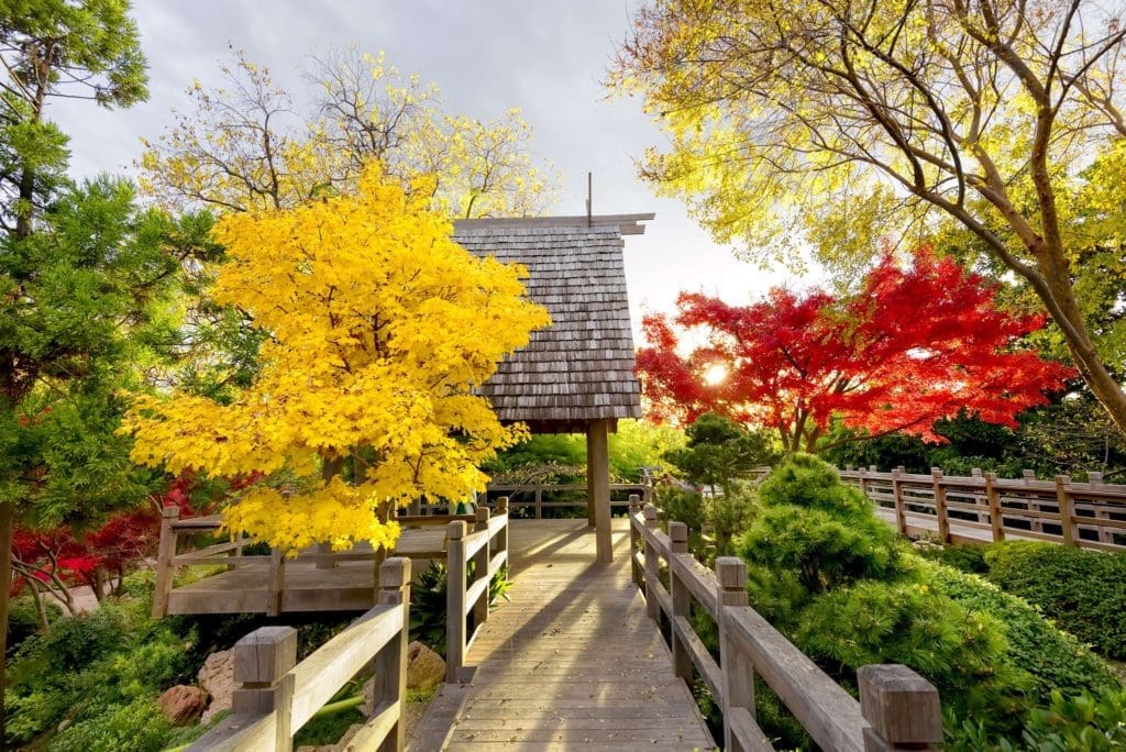 Fort Worth’s Beloved Gardens Continue Their Master Plan Improvement With Special Night