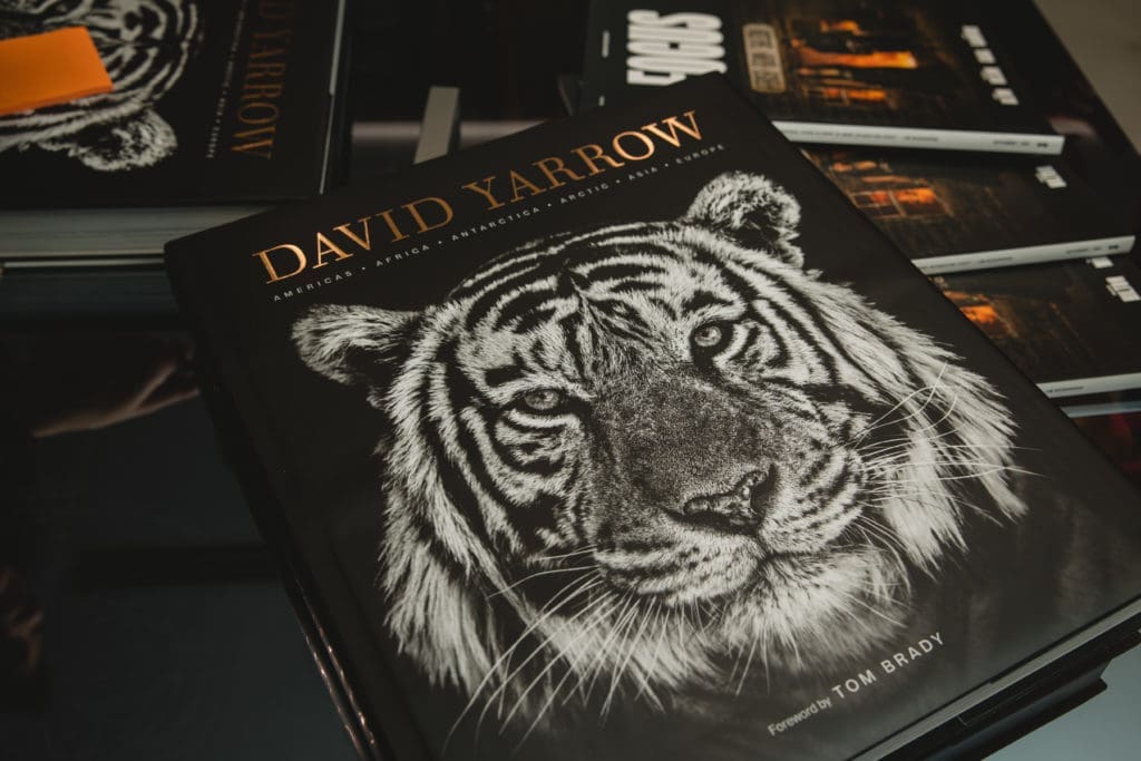 The artist's Rizzoli volume  (Photo by Johnny Than )
