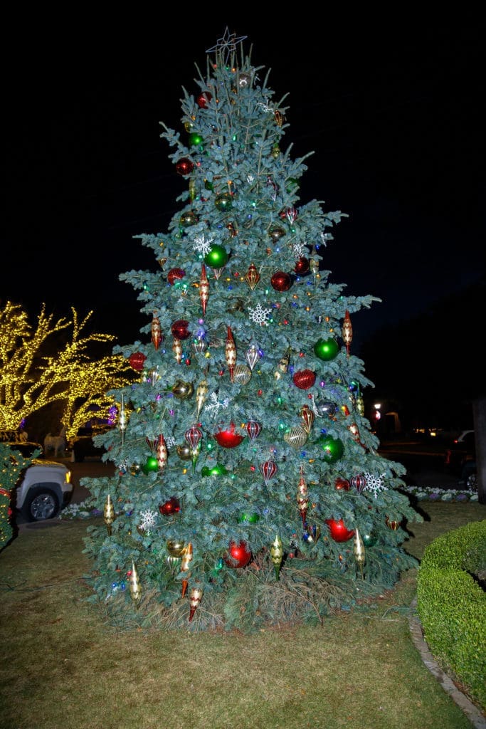 A beautifully decorated tree to put strollers in the holiday mood (Photo by WJN Photo)