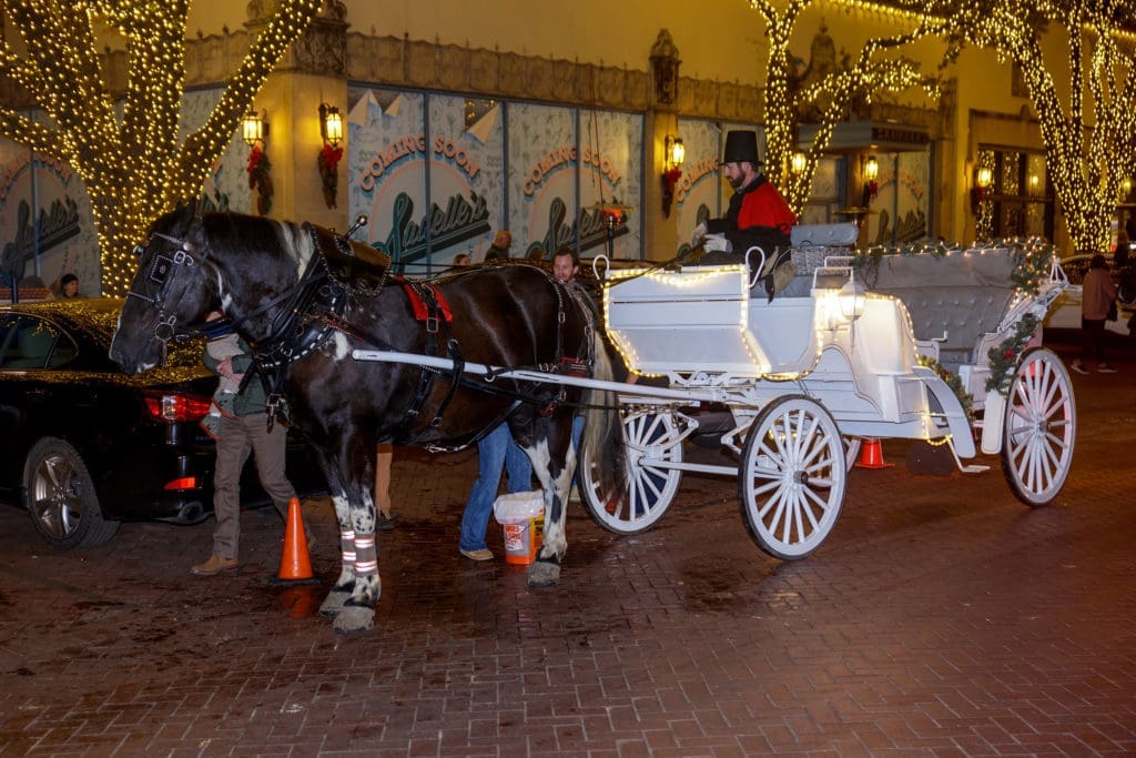 Many enjoyed the annual tradition of a horse drawn carriage ride to view the lights of Highland Park homes (Photo by WJN Photo)