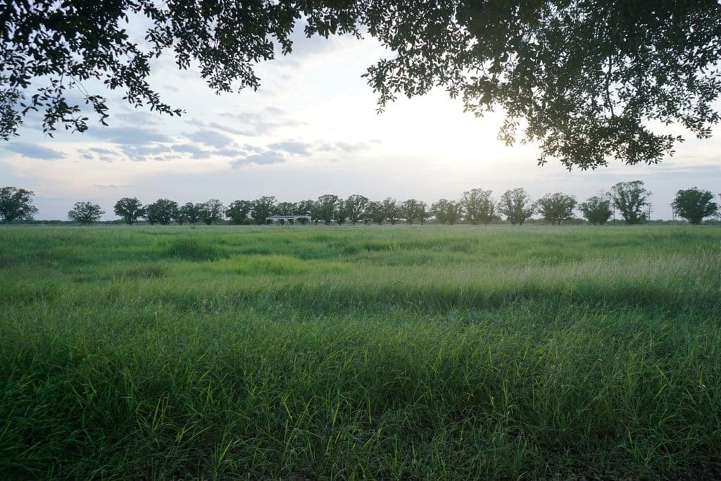 The beautiful setting of Crawford Ranch in South Texas.
