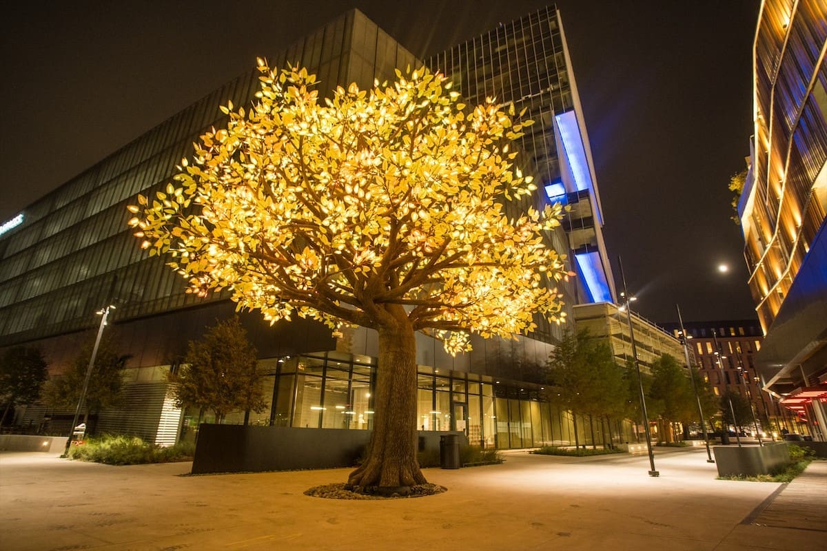 485 DRIFT Tree of Ténéré – Credit Chop Em Down 5