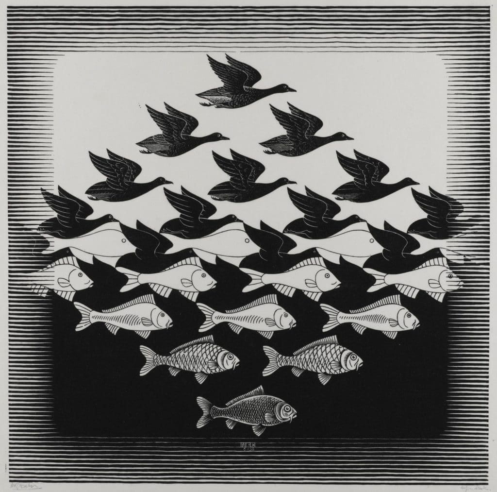 Sky and Water is one Escher's most celebrated works, weaving in the motif of metamorphosis. In this woodcut, birds and fish are seemingly transformed into air and water through metamorphosis.
