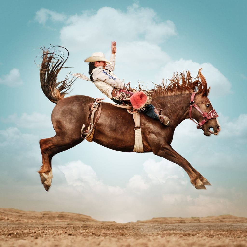 Steve Wrubel's "Feather River" photograph paints a picture of horse riding against a colorful landscape.