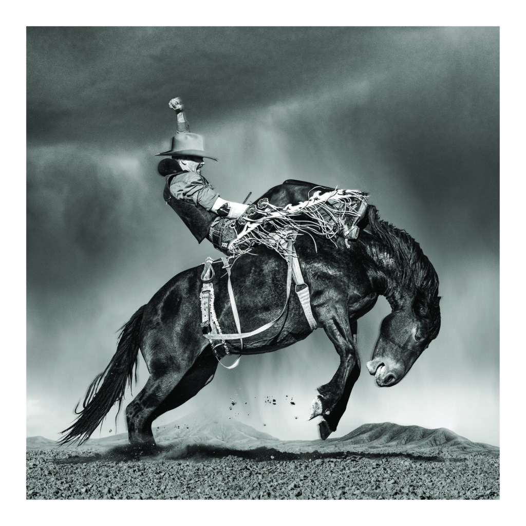 Steve Wrubel's "Larsen" photograph showcases the the beautiful dance that until now has remained hidden in the raucous nature of the sport.
