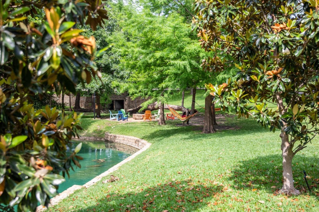 Greenery at The Village in Dallas, Texas. 