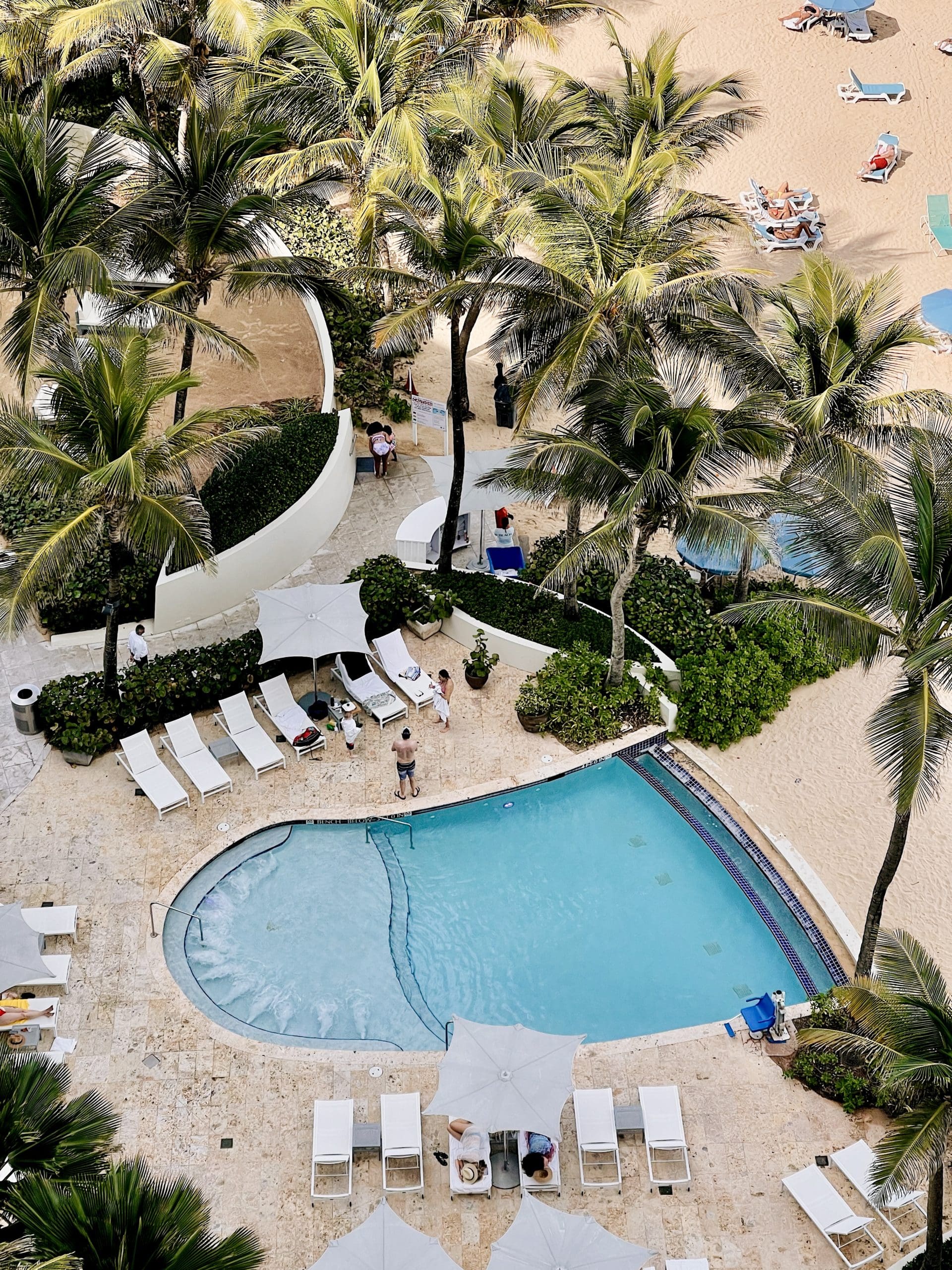 la concha resort puerto rico