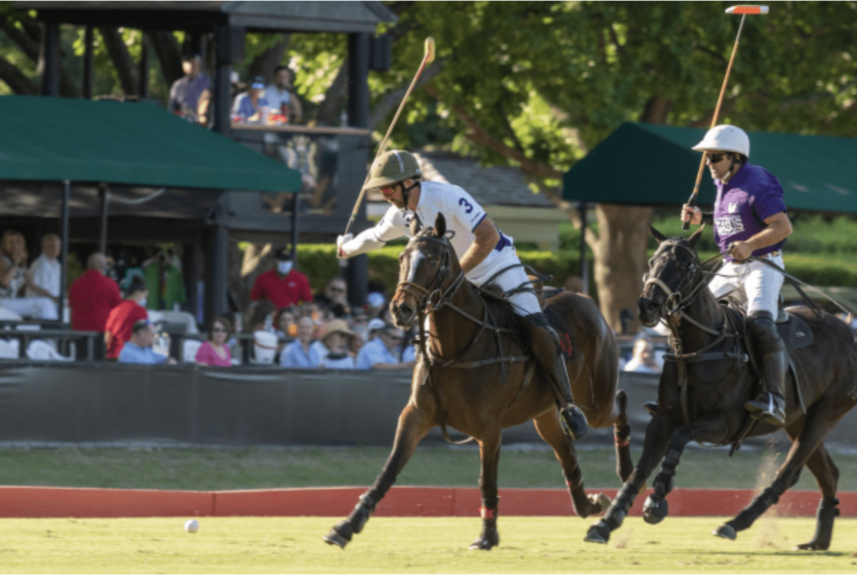 Watch world-class polo in the Bayou City.