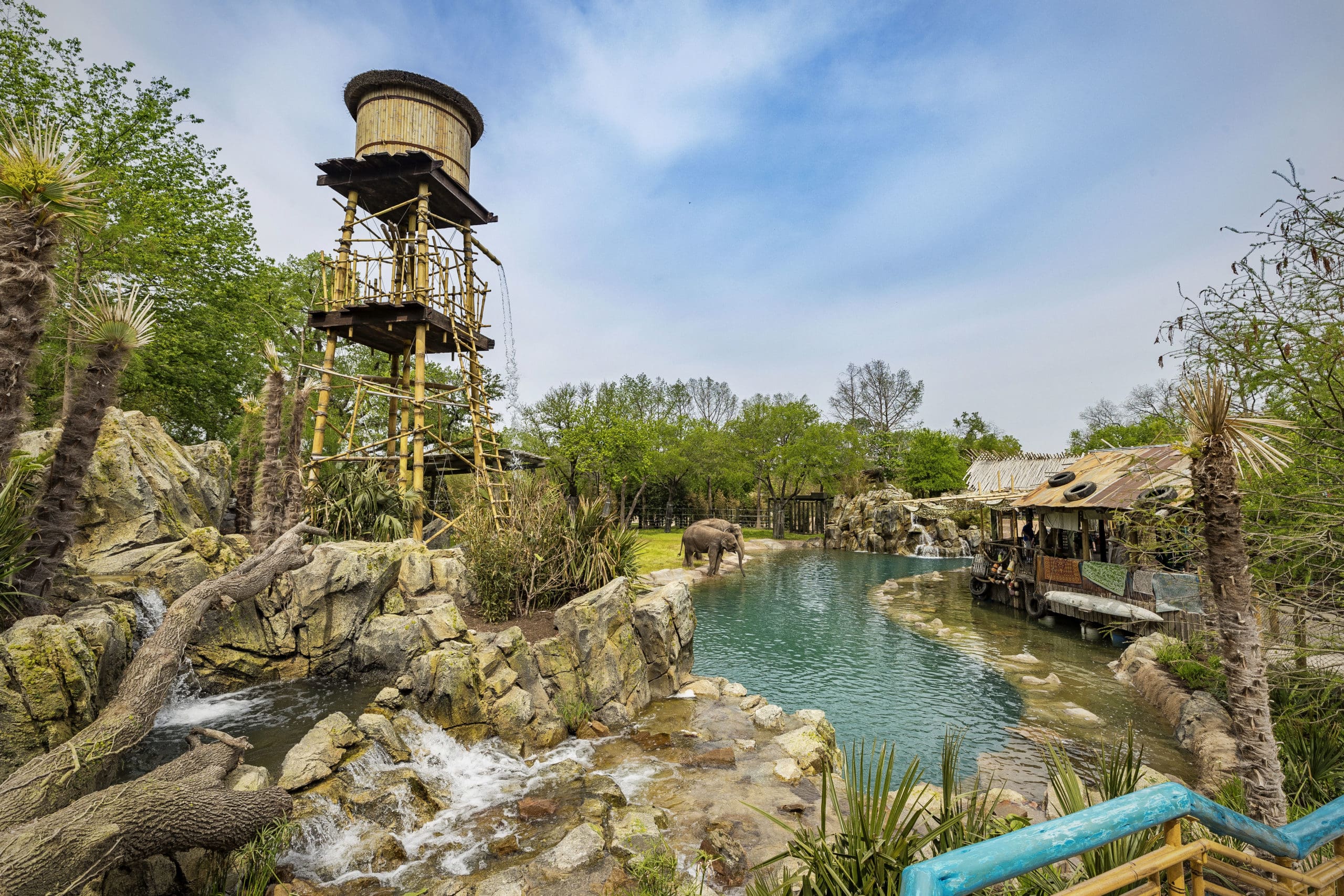 Zoo – Elephant Springs primary 400,000-gallon pool and river