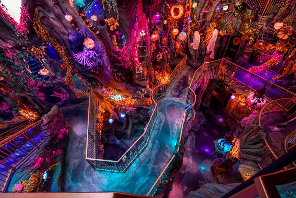 Denver's Meow Wolf is a must-visit attraction in the city. (Photo by Jess Bernstein / Courtesy of Meow Wolf)