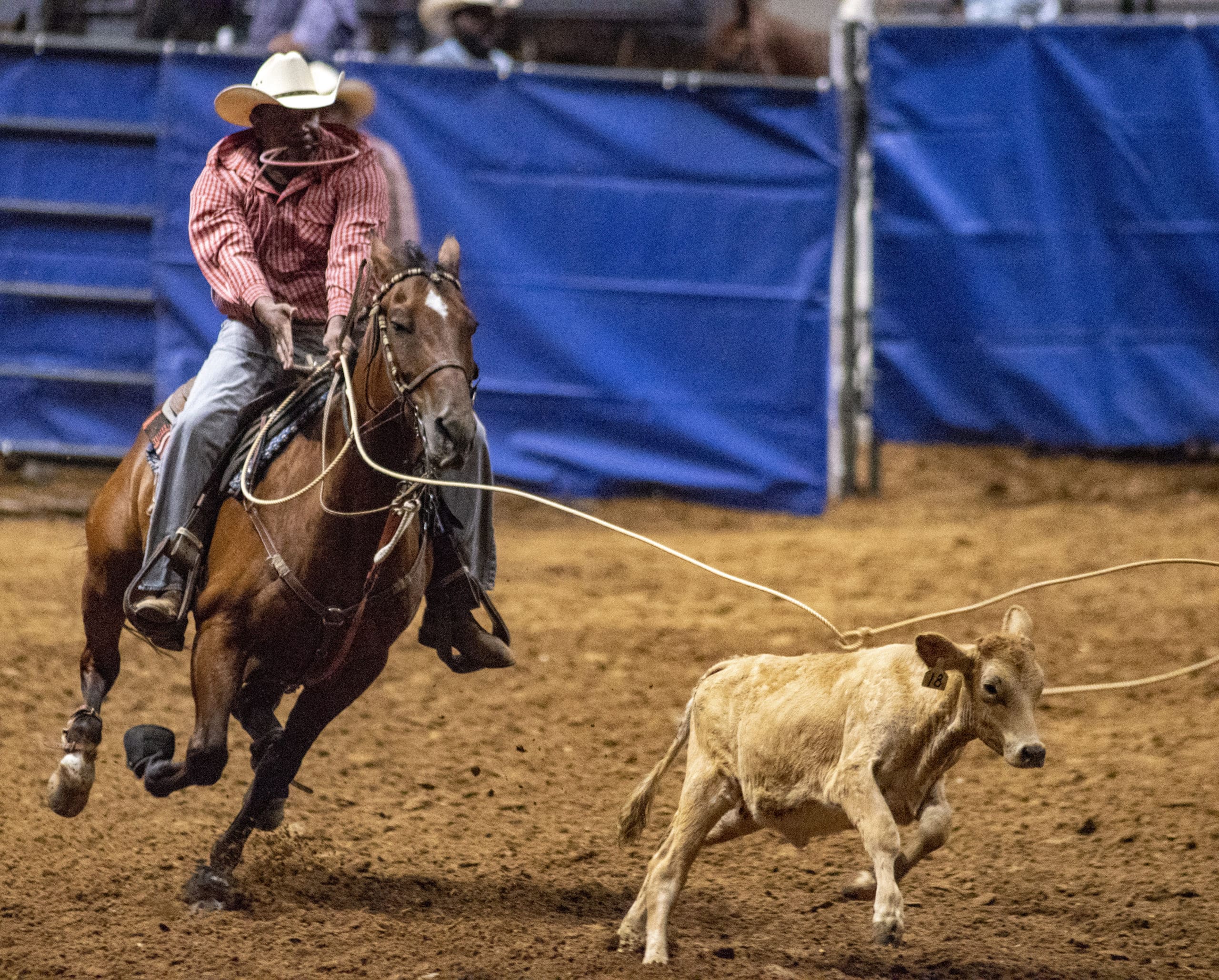 Texas Black Invitational Rodeo Father's Day weekend Dallas