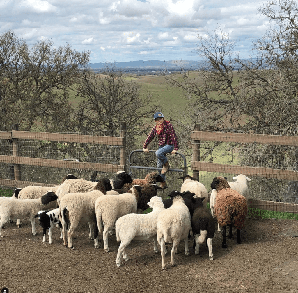 One of Maeve & Luis Pesquera's five sons at play on their Milagro Ranch in Pasa Robles, California. (Facebook photo)