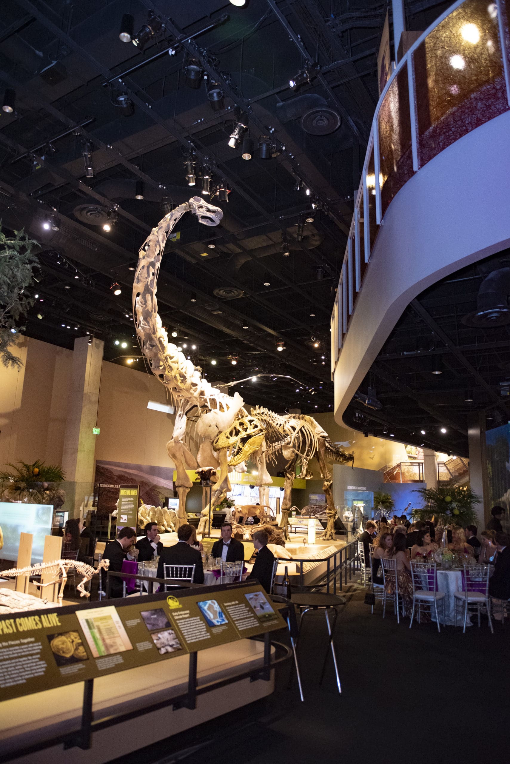 Dino Floor (photo by, Tamytha Cameron)