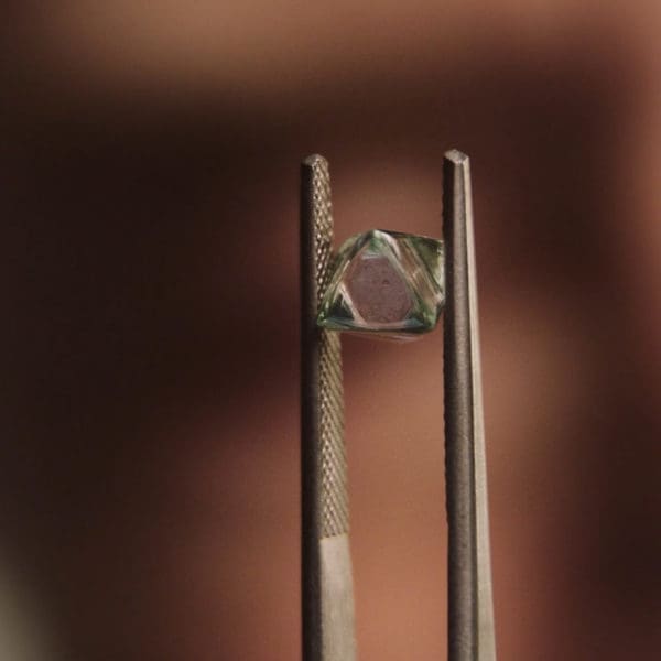 Integrated Article | Jewelry