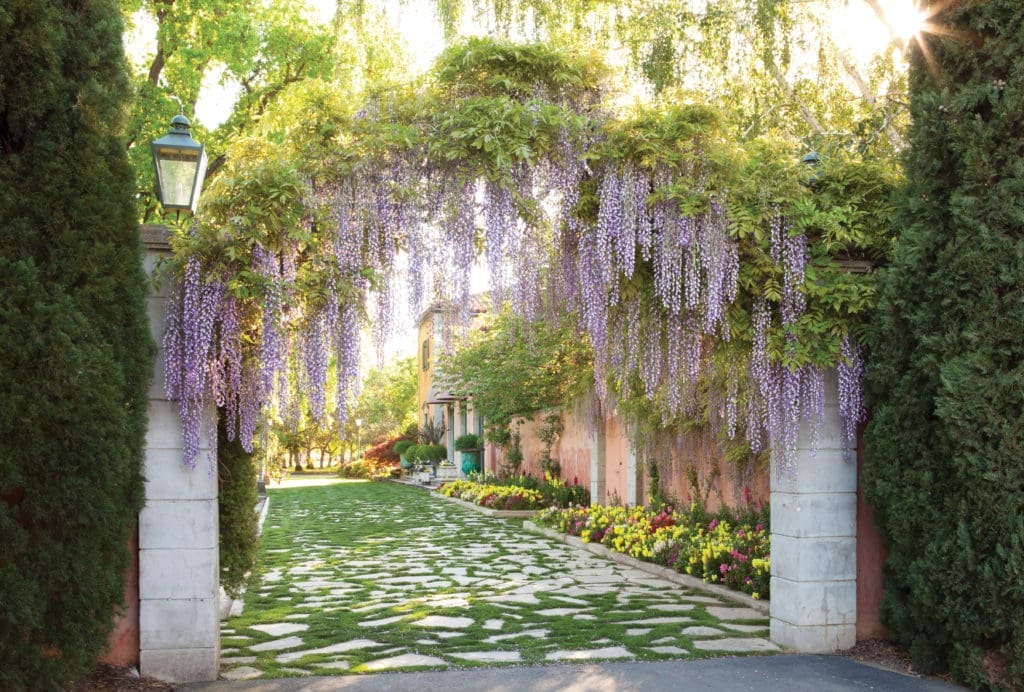 The Gilbert family residence where Ann Getty grew up, has the snow-smudged Sierra foothills as a backdrop and miles of walnut orchards in the soft, green foreground. In the spring, wisteria crowns the gateway leading from the walnut orchards to the side entrance of the house. (Photography by Lisa Romerein)