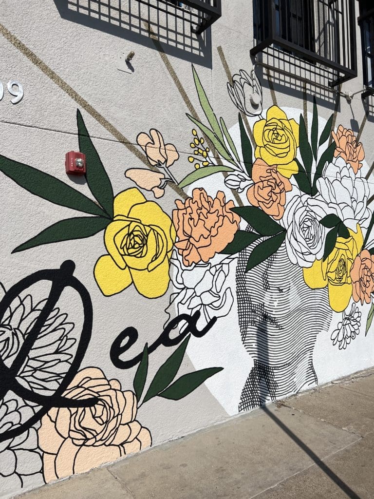 Local artist Alli K created this mural outside of Dea on Inwood Road. (Photo by Megan Ziots)