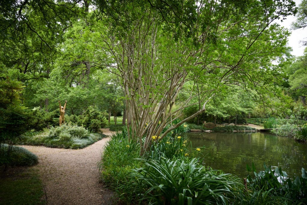 Specific trees and plants were chosen to encourage insects and the wildlife that feed on them to flourish, and only natural insecticides like garlic are used in the garden. (Photo by Pär Bengtsson / art direction by Michelle Aviña)